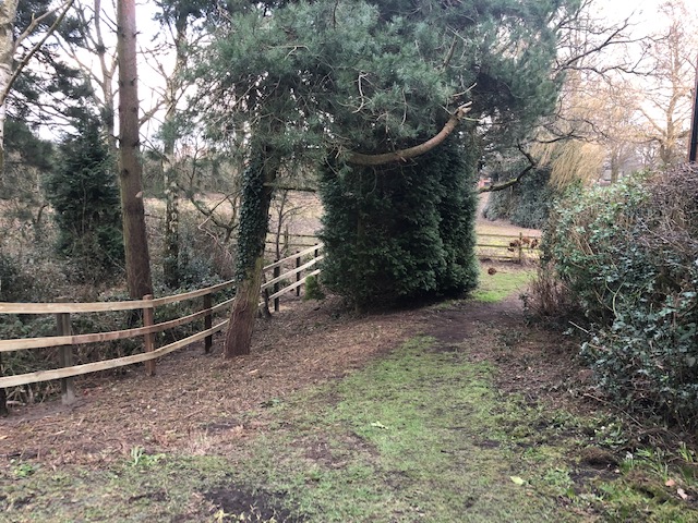 Clear footpath at back of Bakehouse